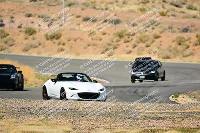 media/Mar-22-2025-West Coast Racing (Sat) [[0d49b412c8]]/Green Group/Session 3 (Turns 5 and 6)/